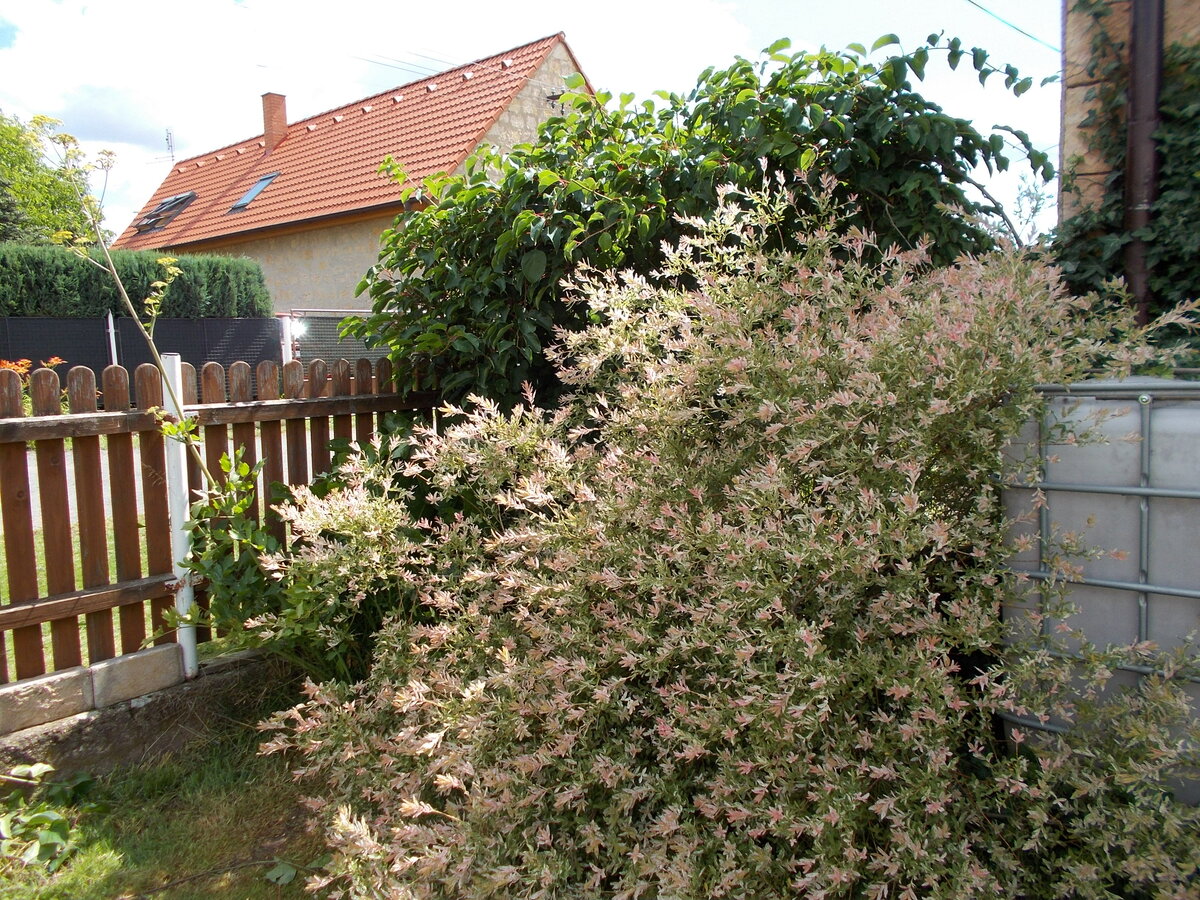Foto 9
