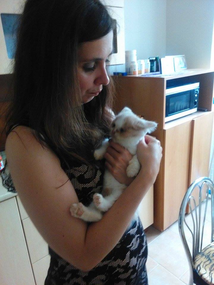 Foto 8