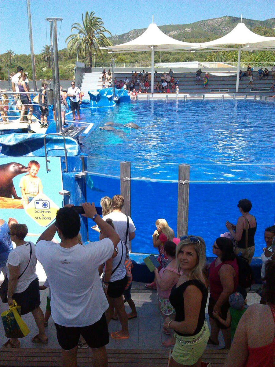 Foto 6