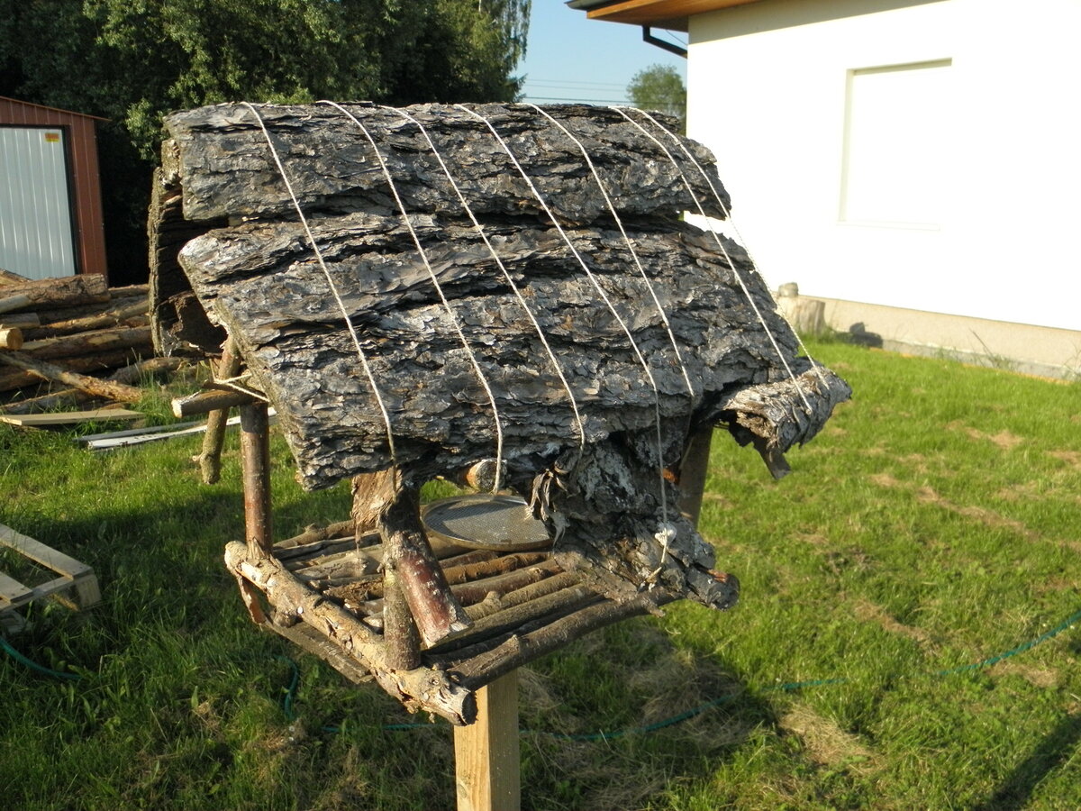 Foto 1