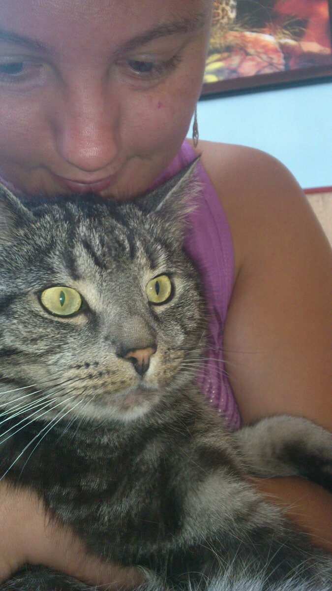 Foto 8