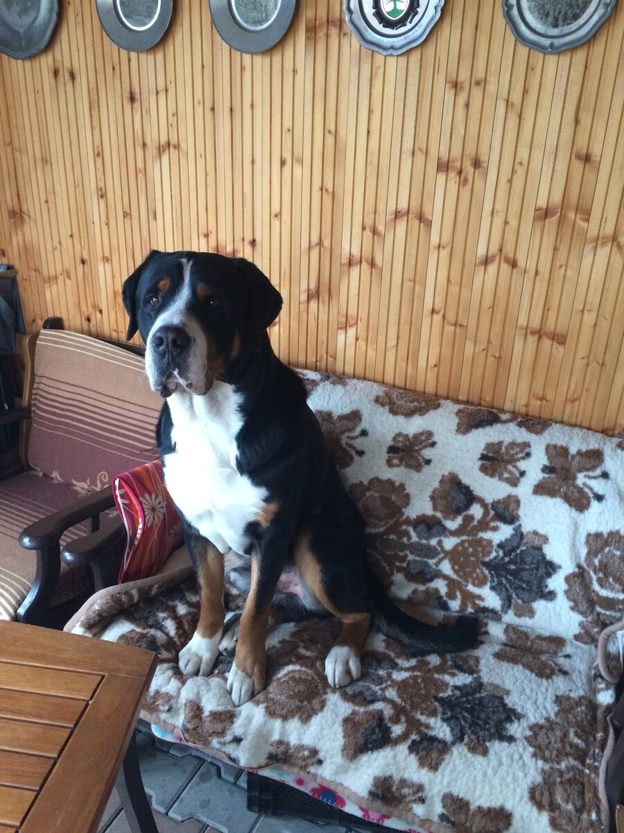Foto 1