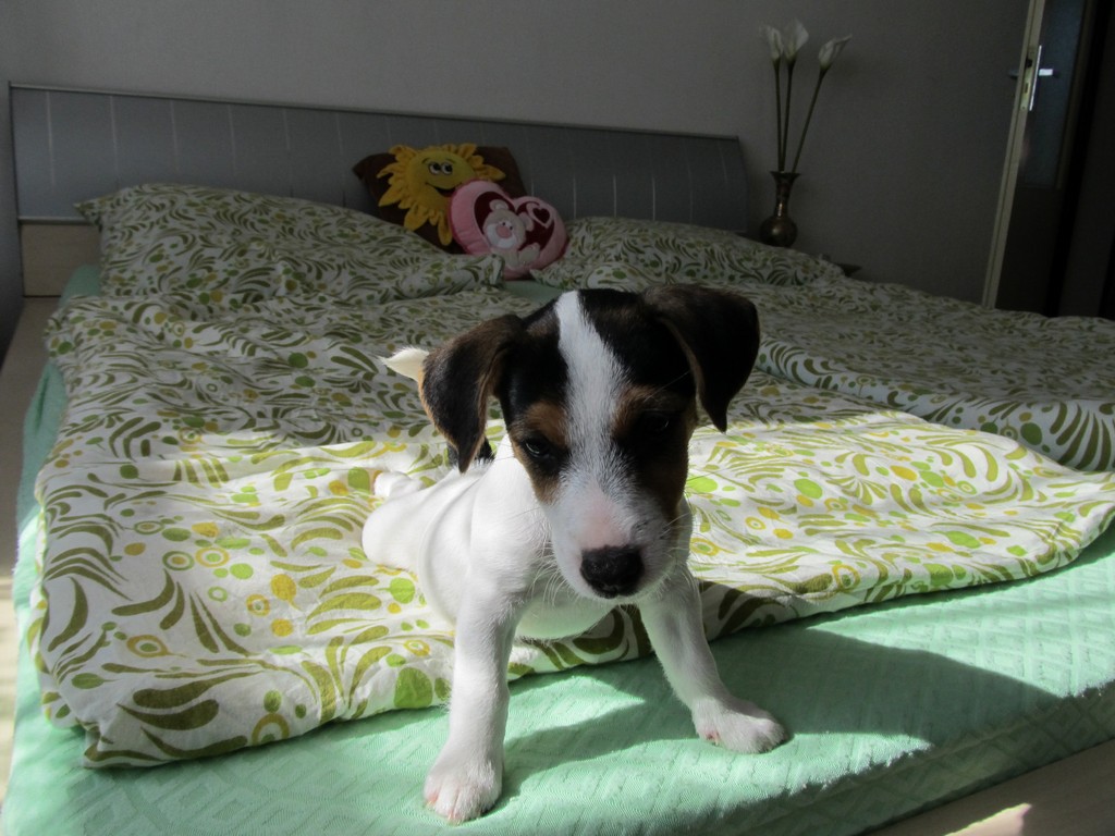 Foto 3
