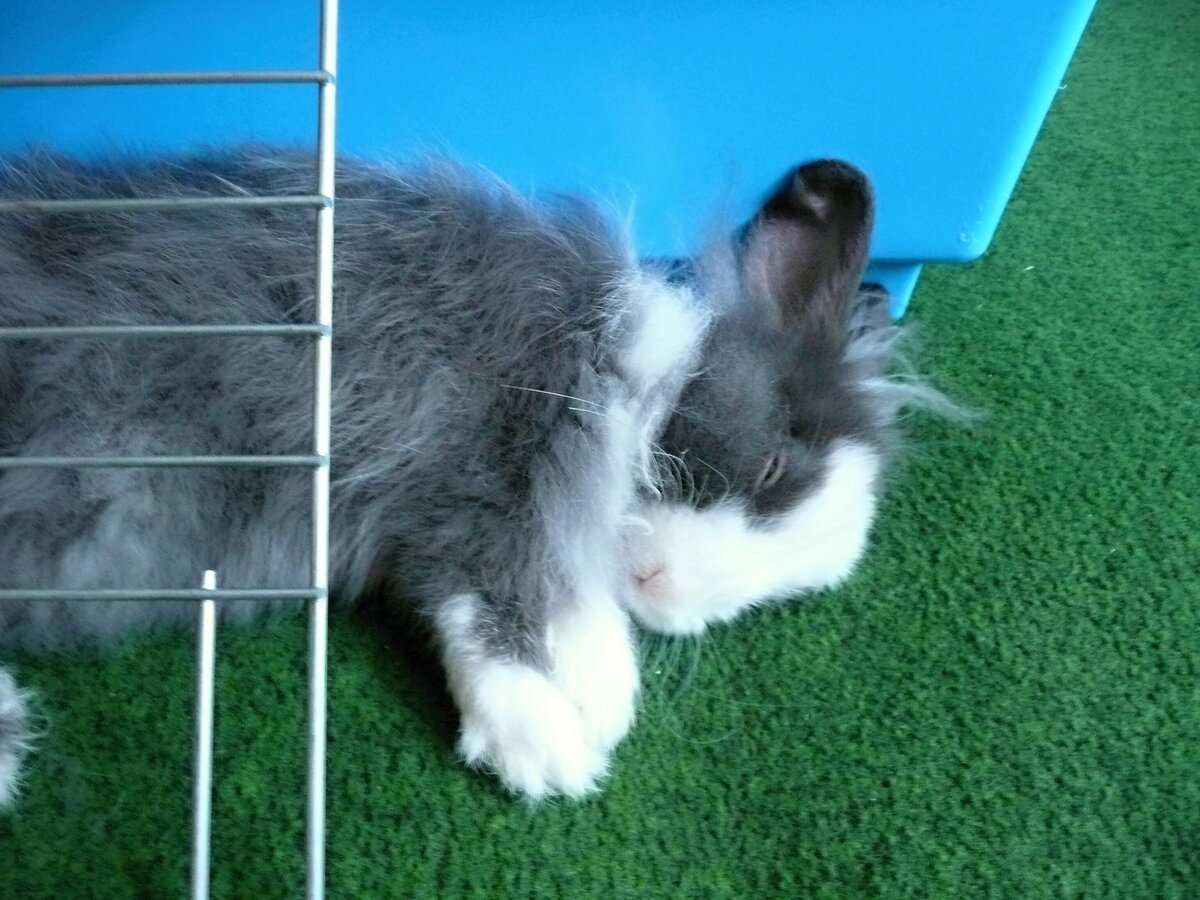 Foto 6