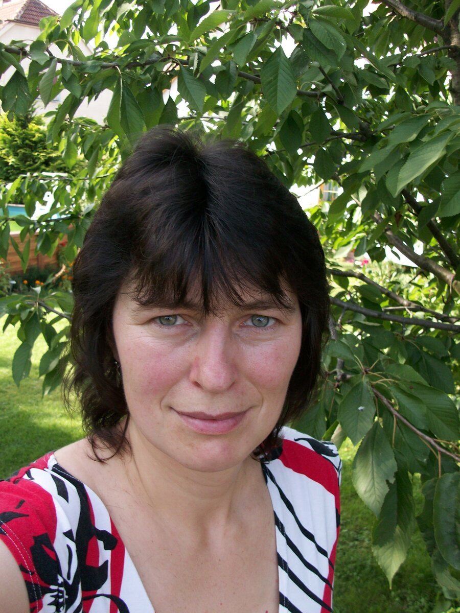 Foto 2