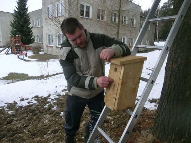 Foto 3