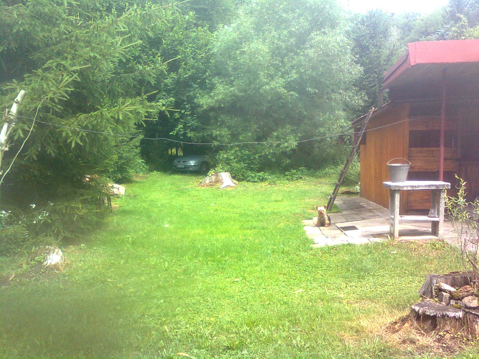 Foto 4