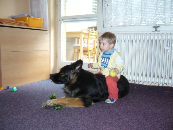 Foto 14