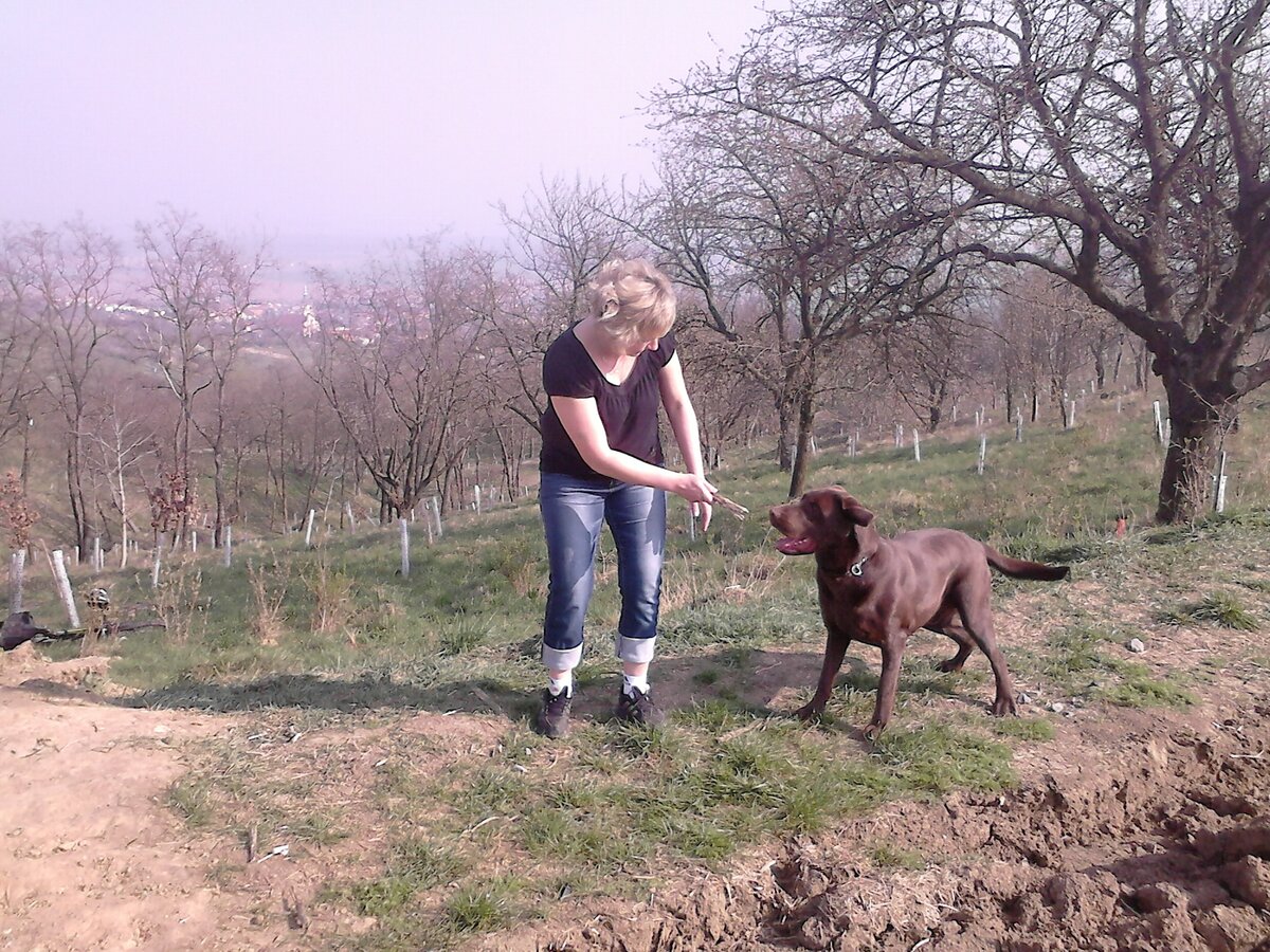 Foto 4