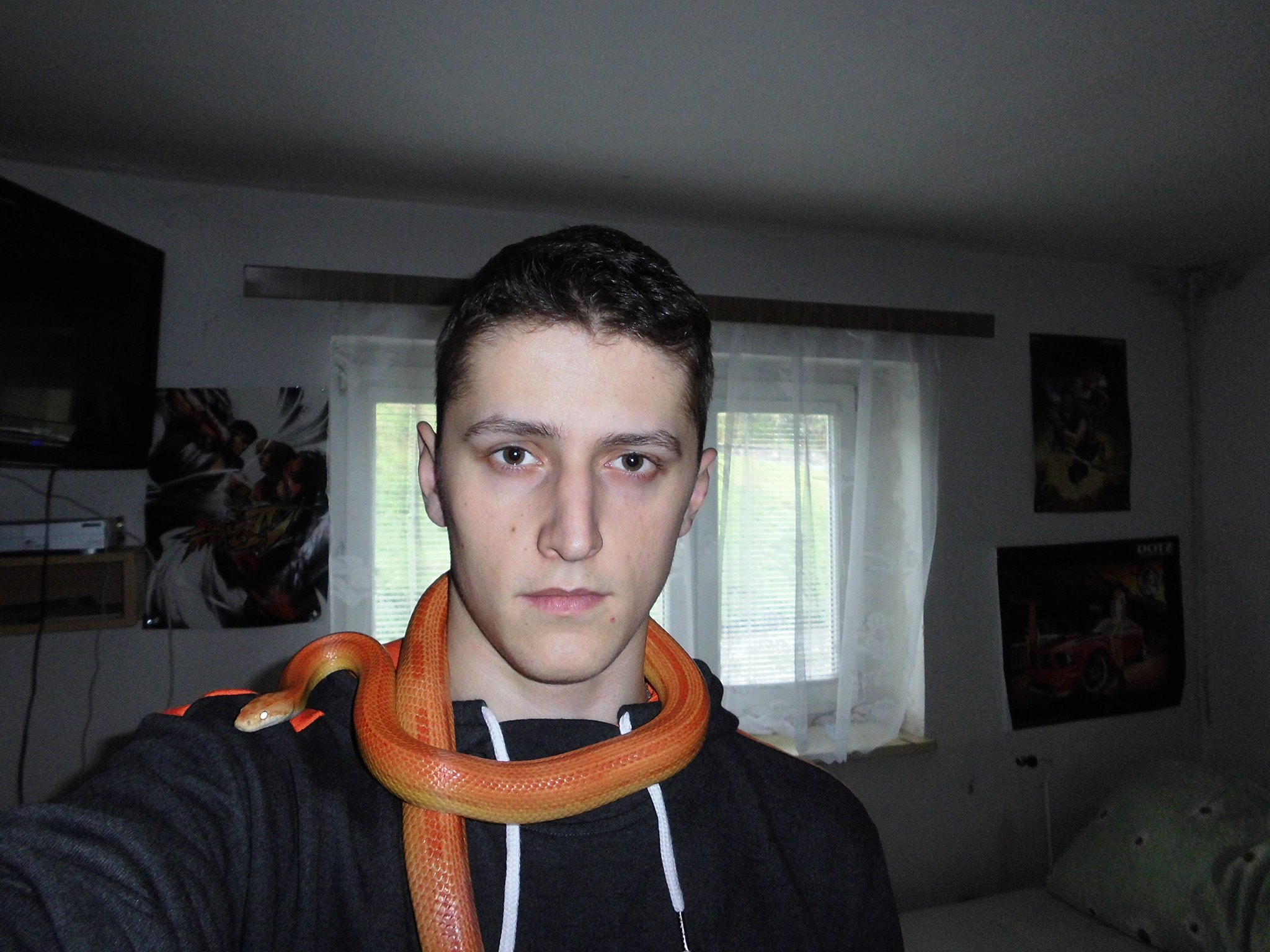Foto 2