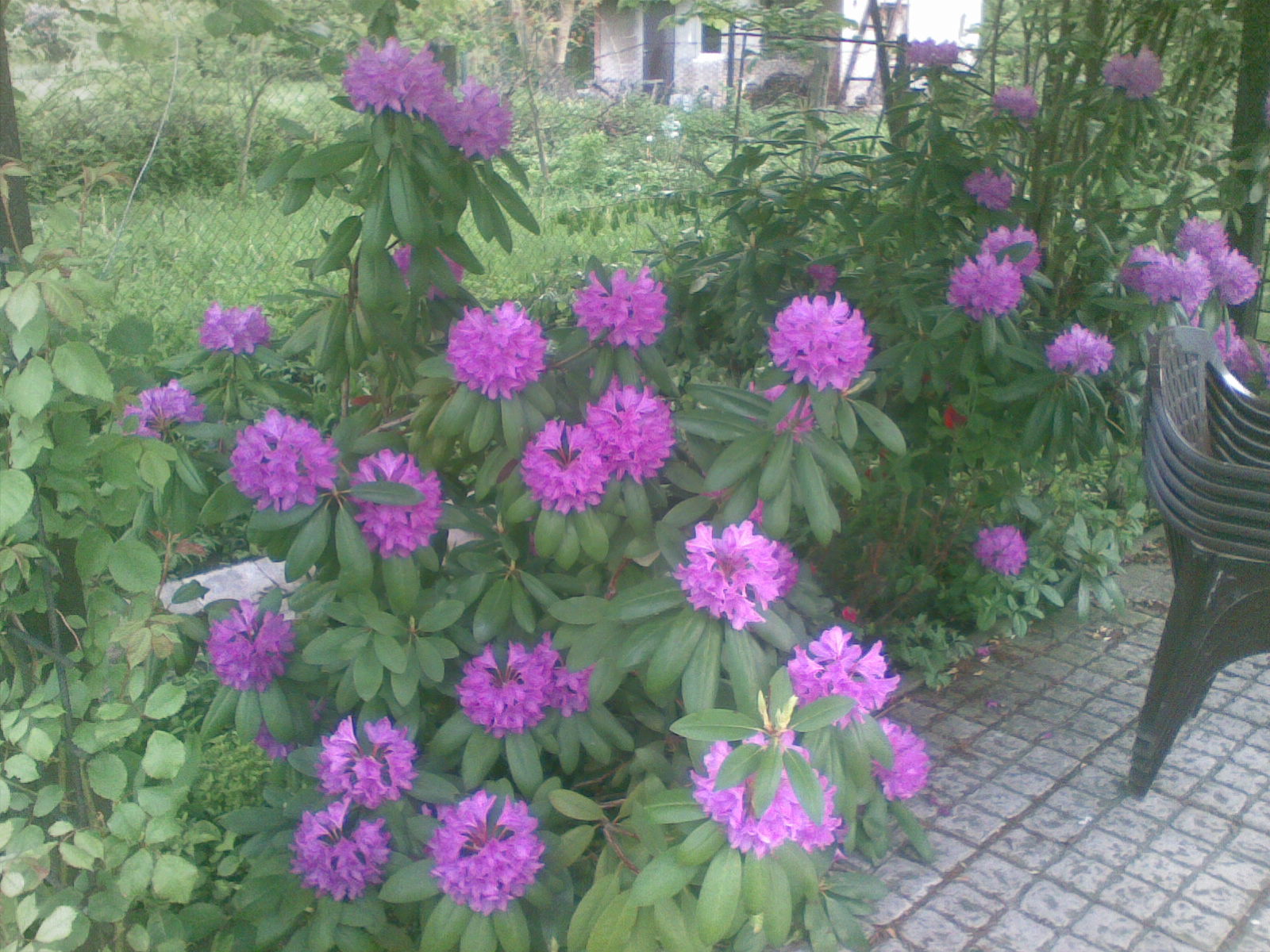 Foto 10