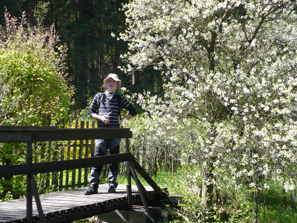 Foto 3