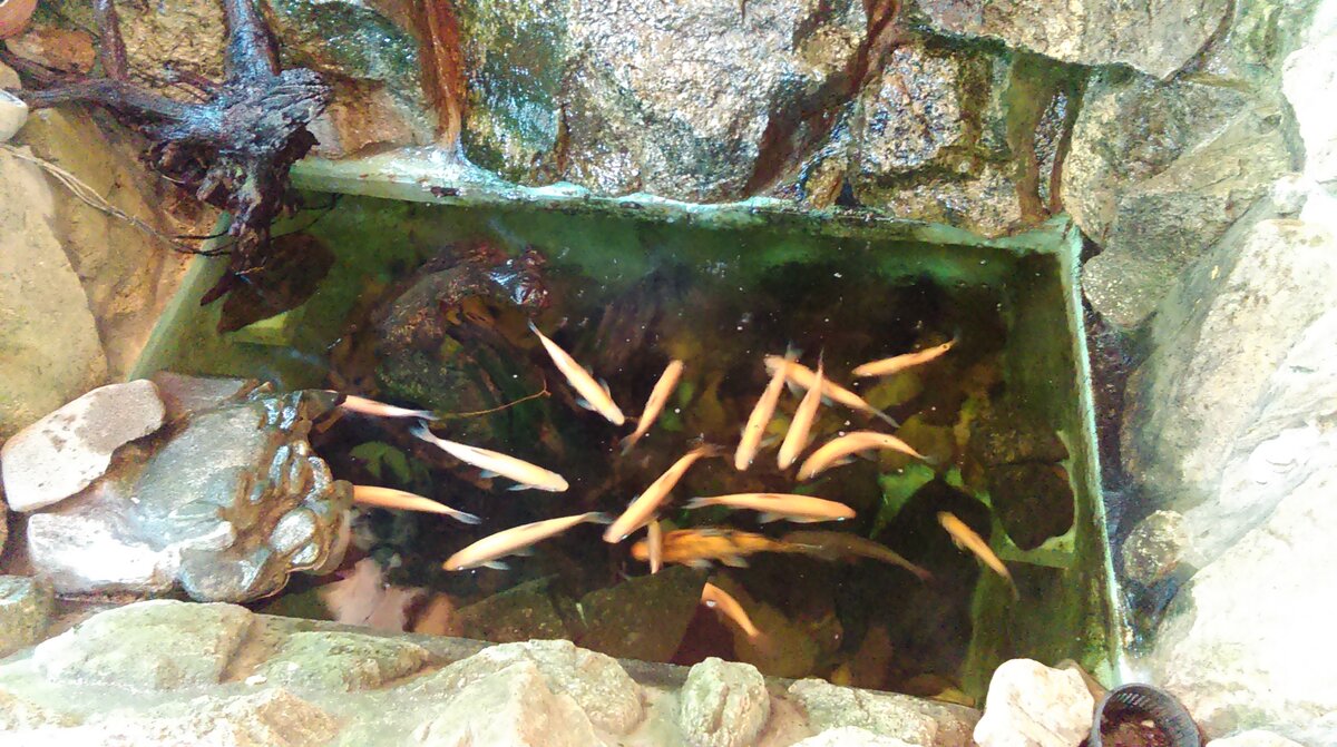 Foto 3