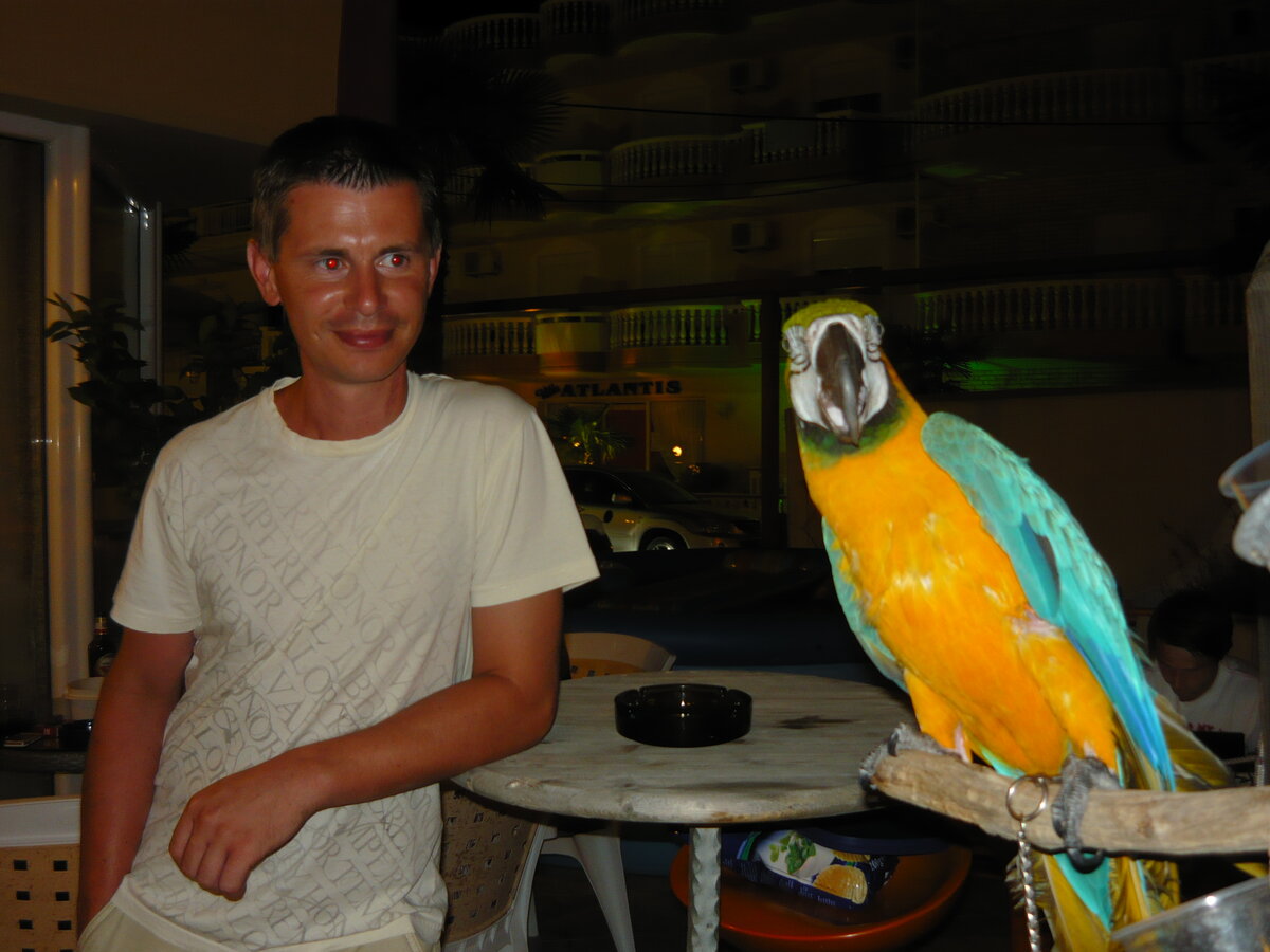 Foto 4