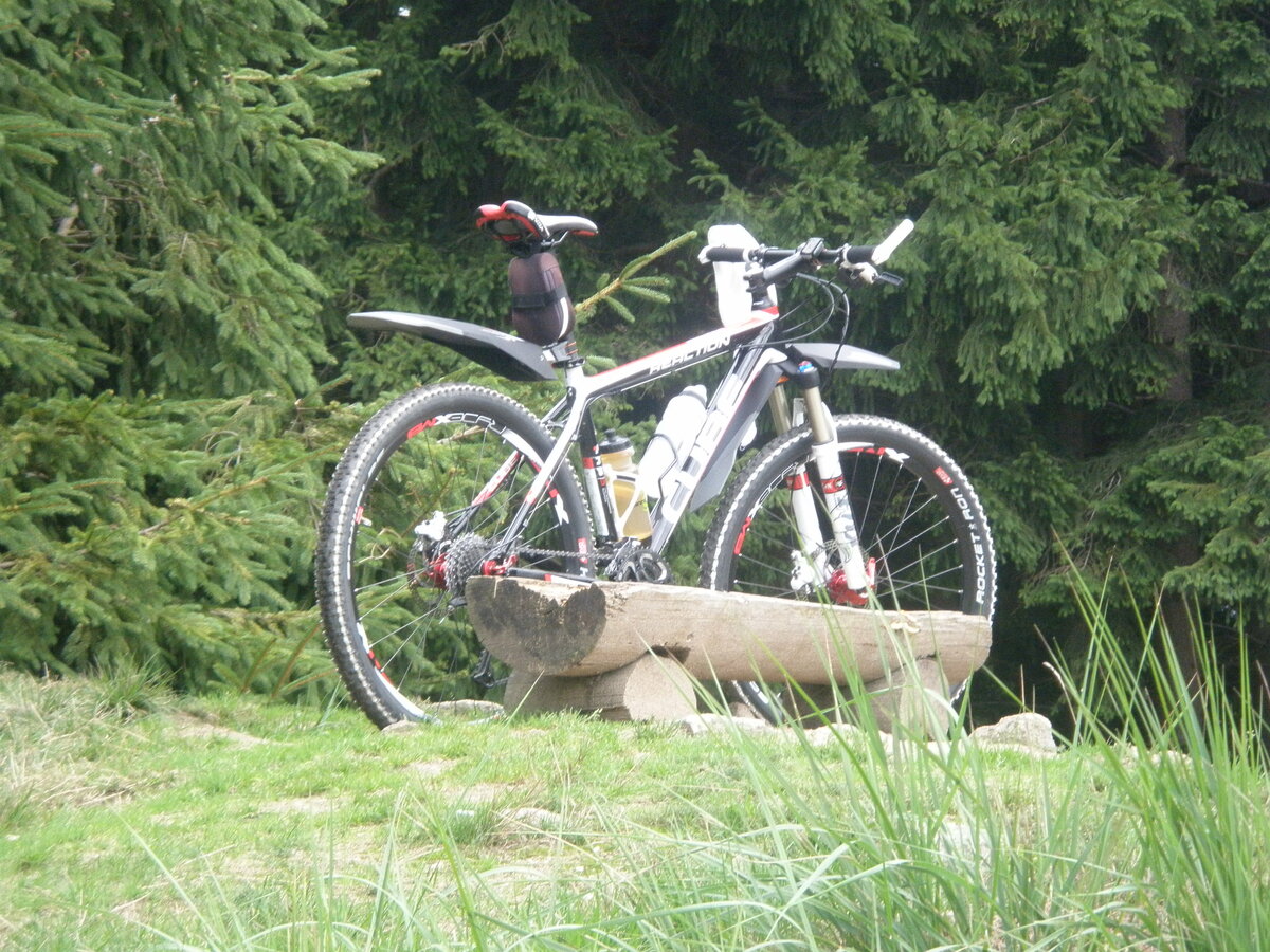 Foto 15
