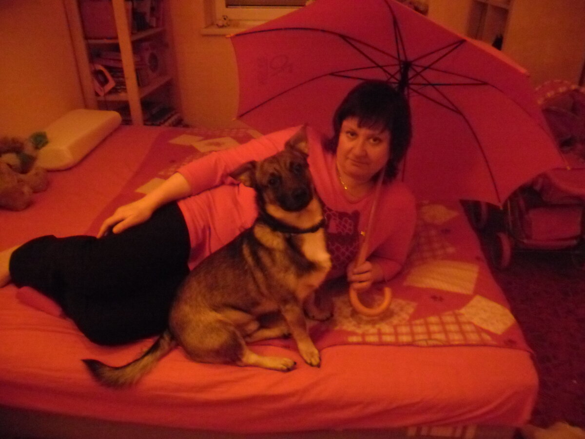 Foto 4