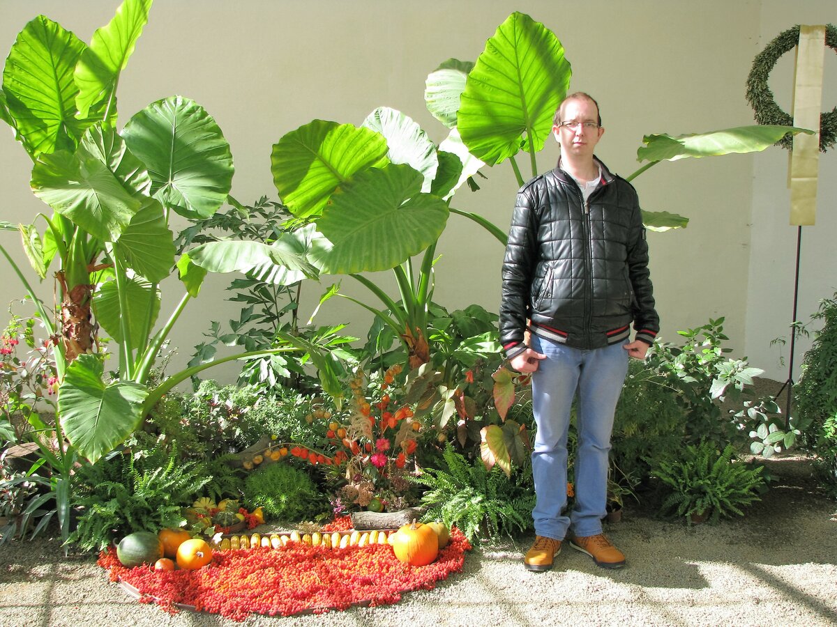 Foto 5