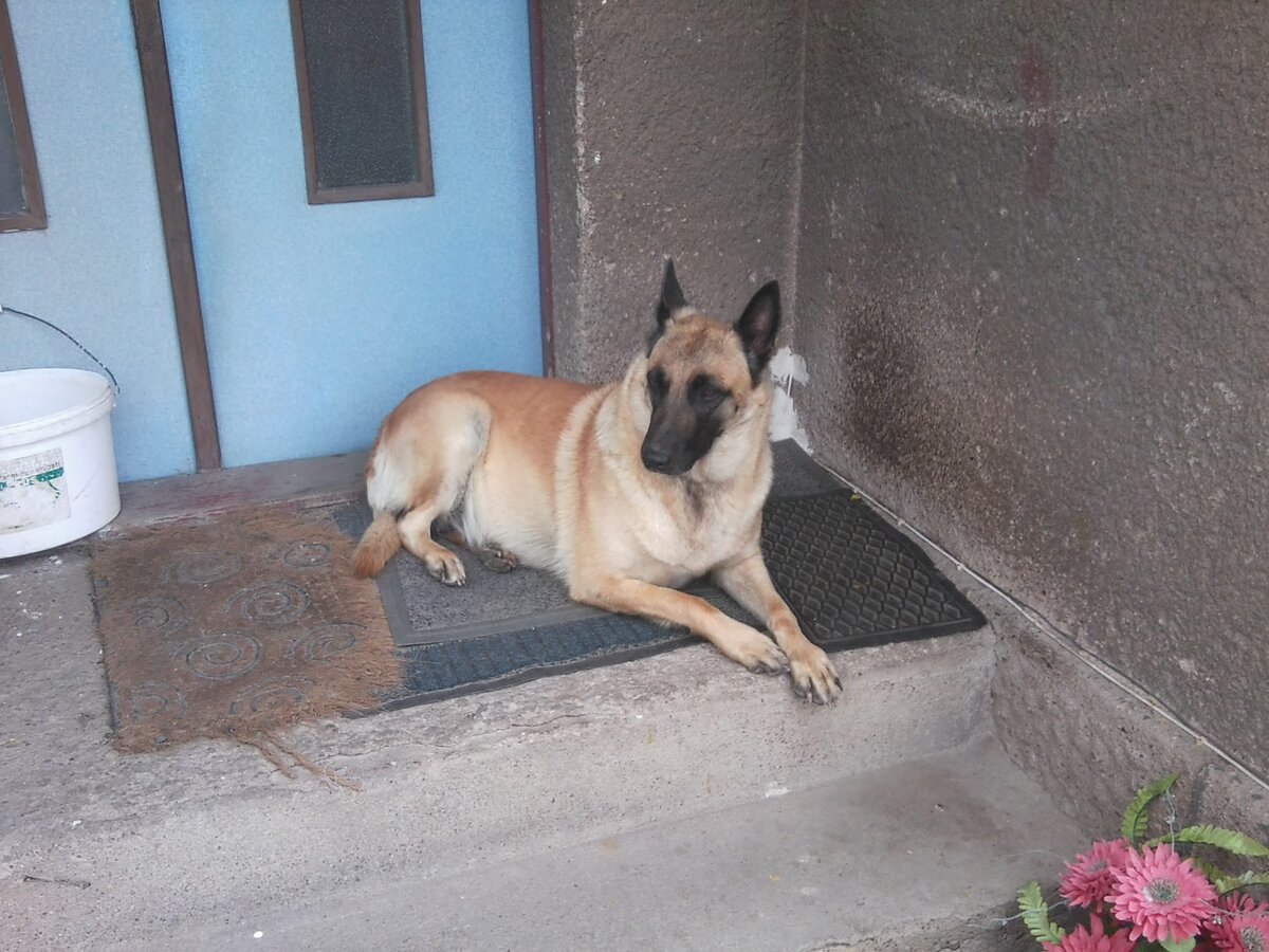 Foto 2