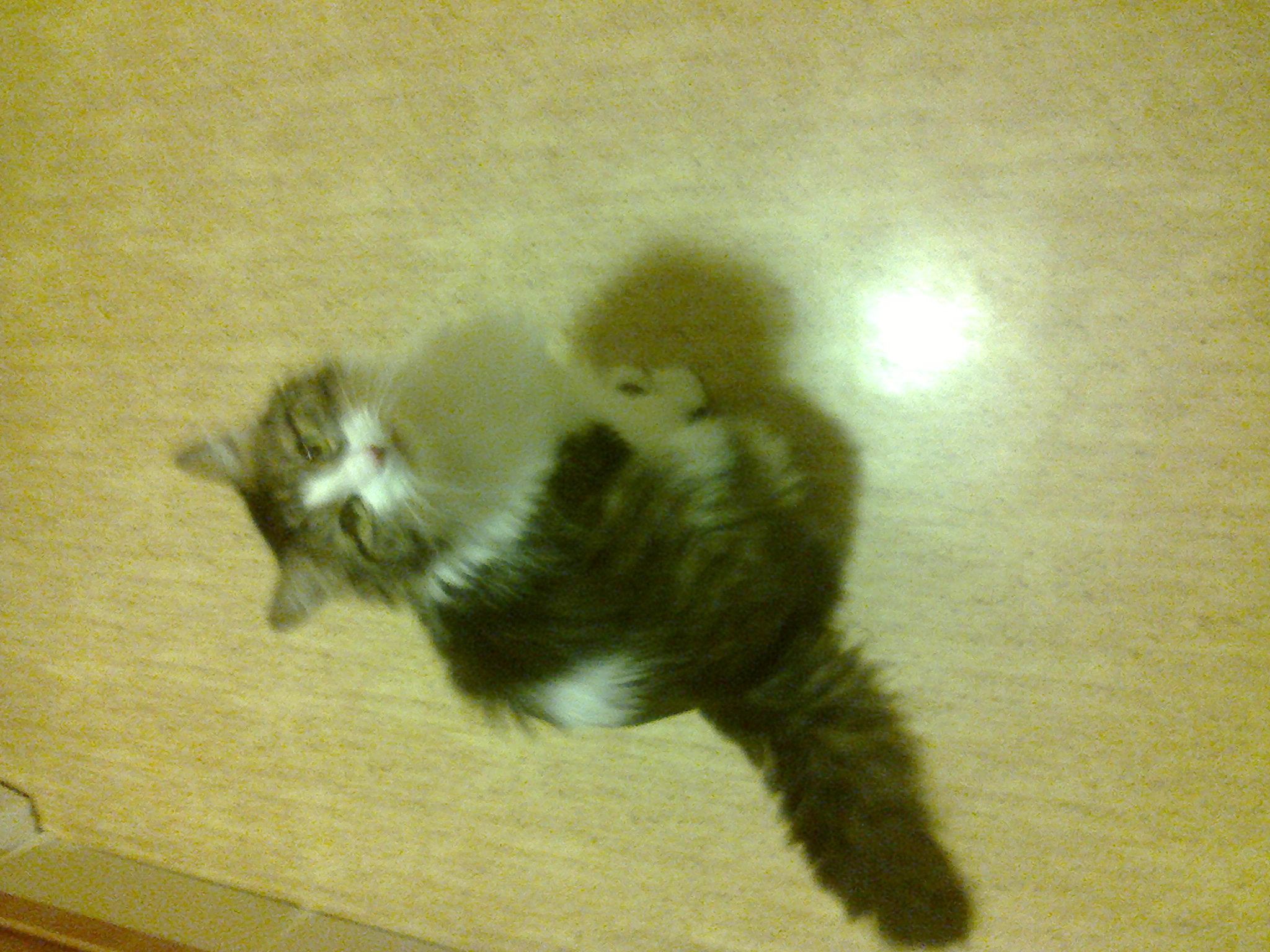 Foto 1