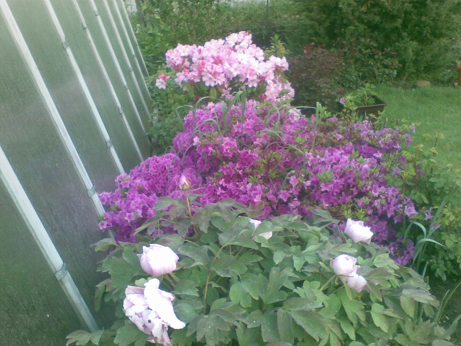 Foto 12