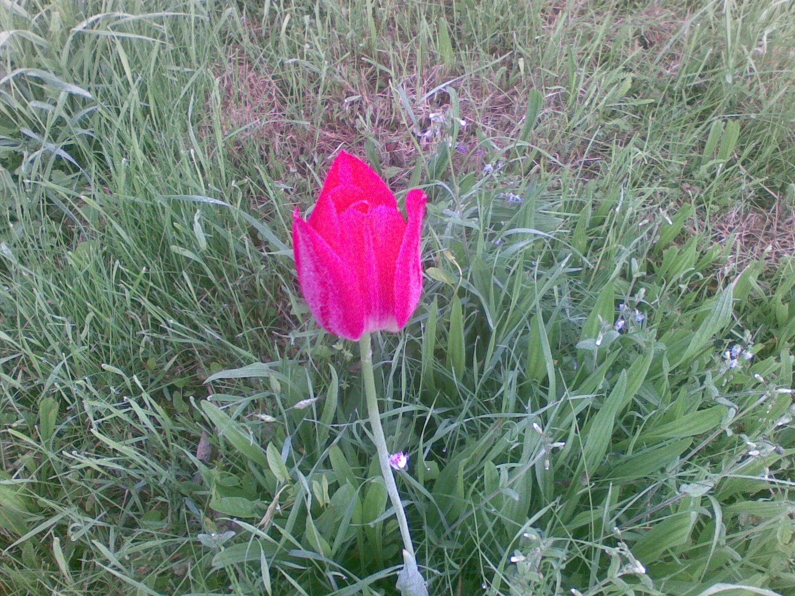 Foto 11