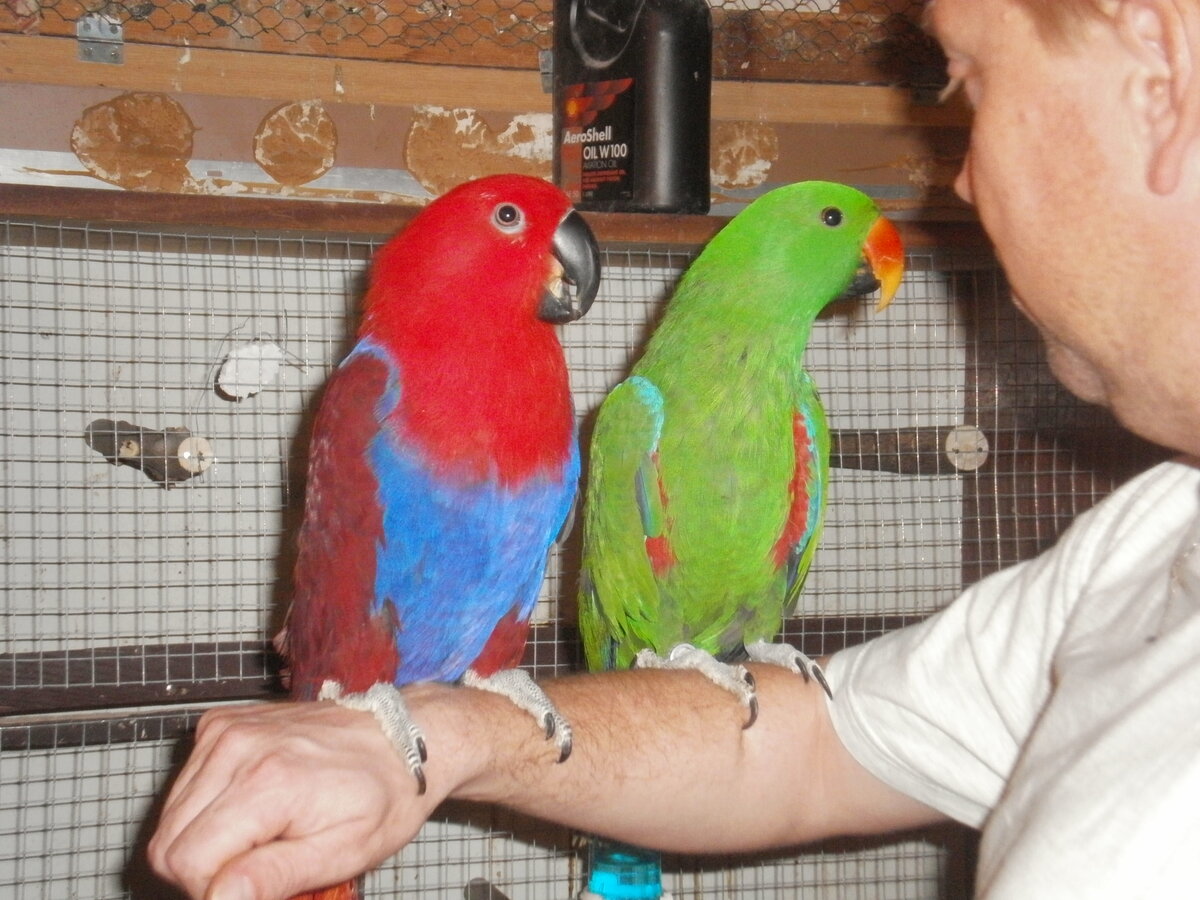 Foto 3