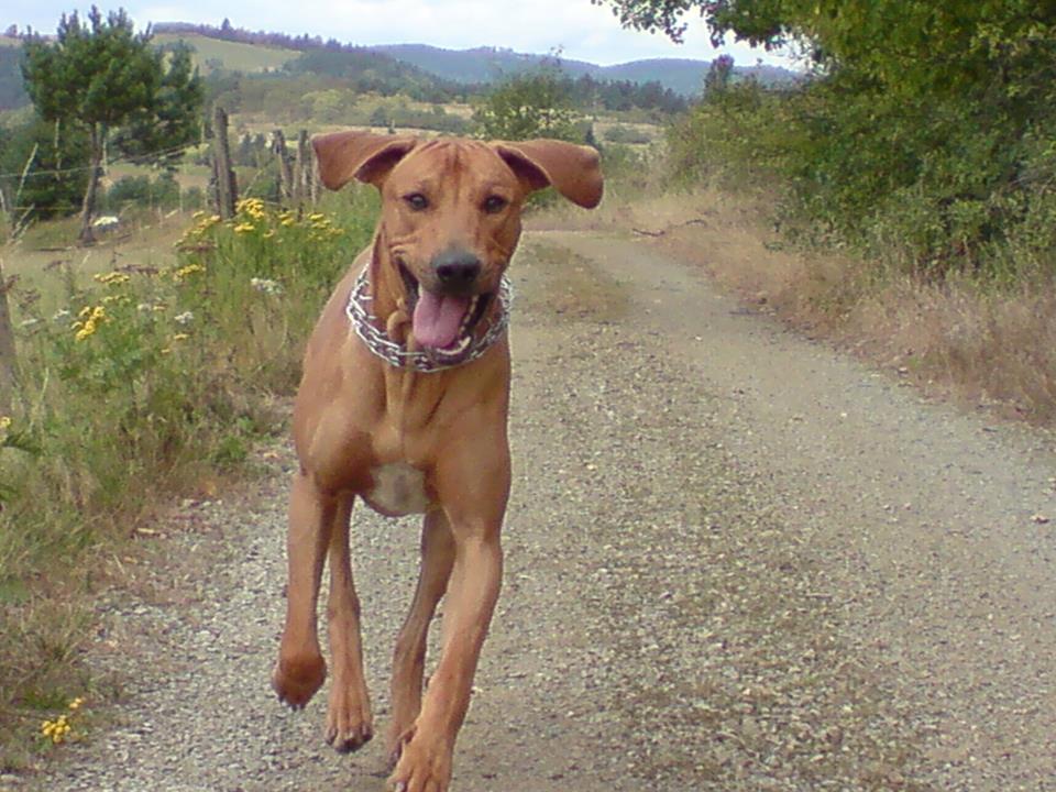 Foto 4