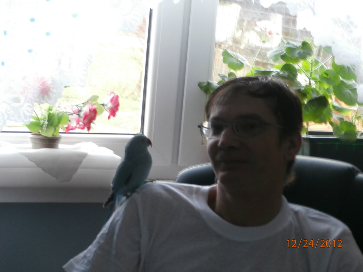 Foto 11
