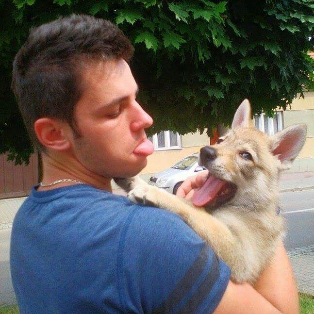 Foto 3