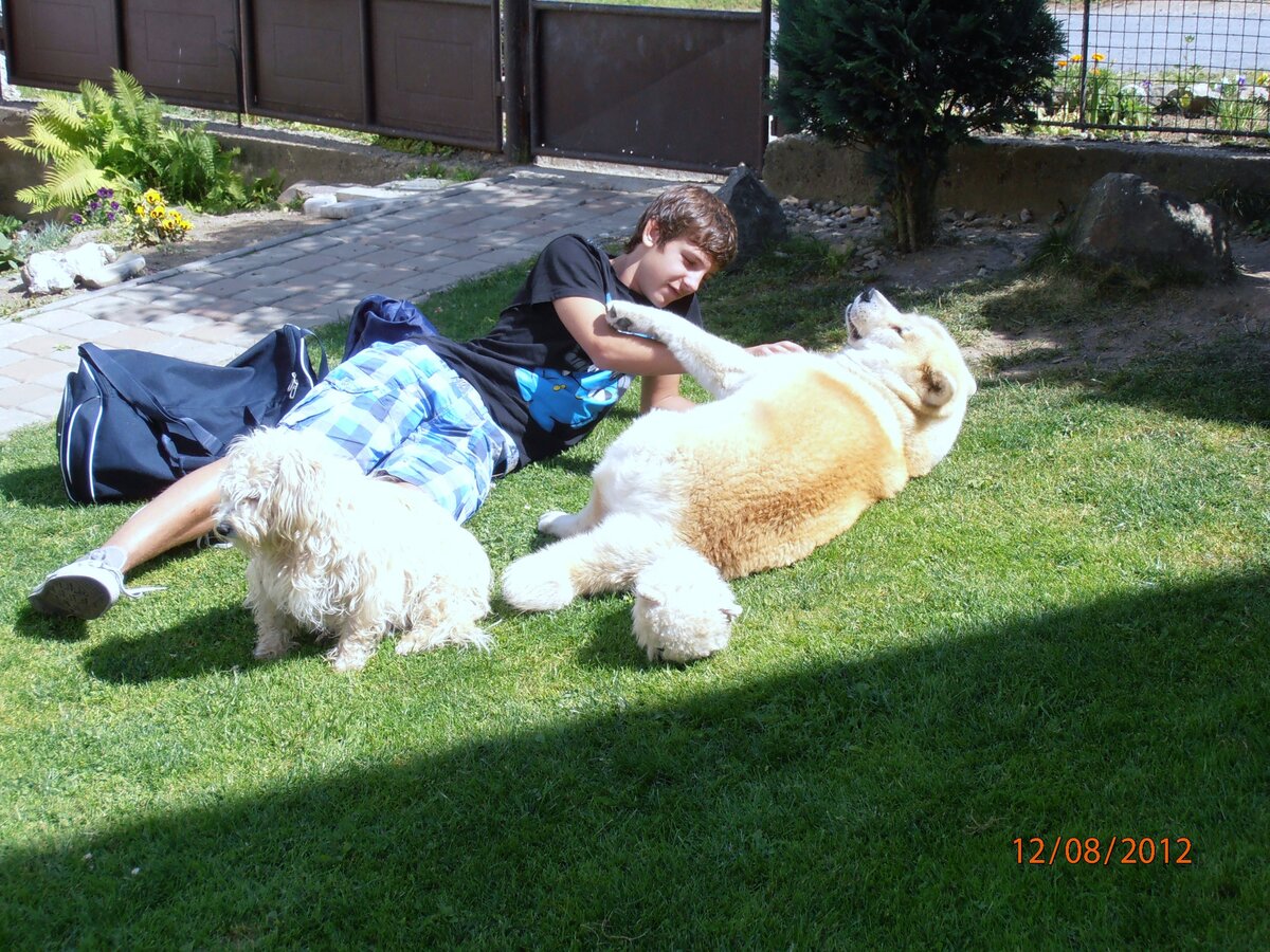 Foto 5
