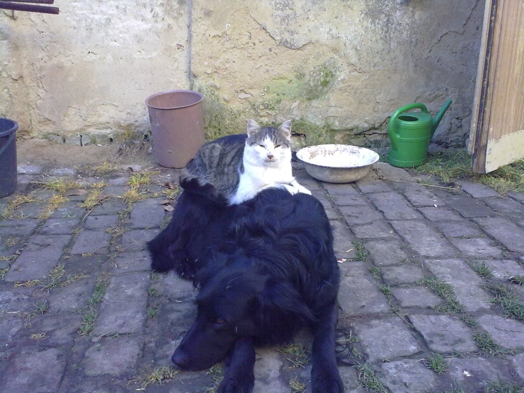 Foto 15