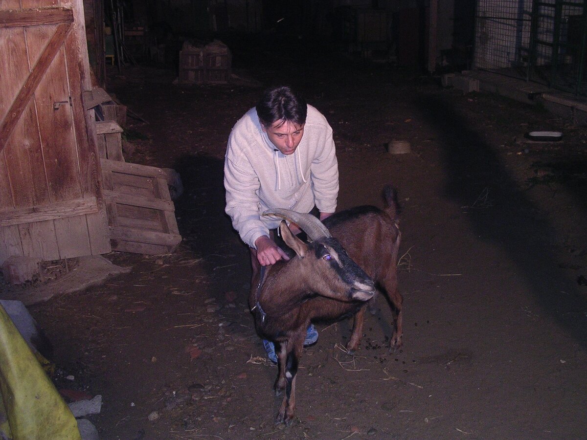 Foto 10