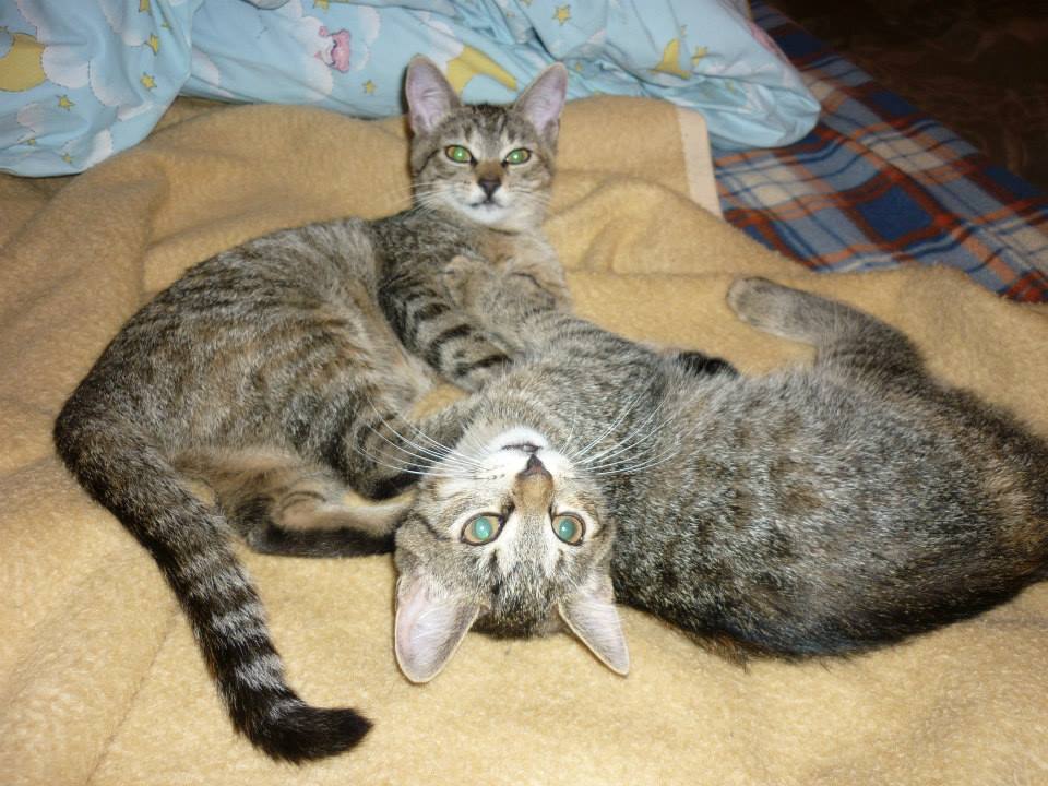 Foto 3