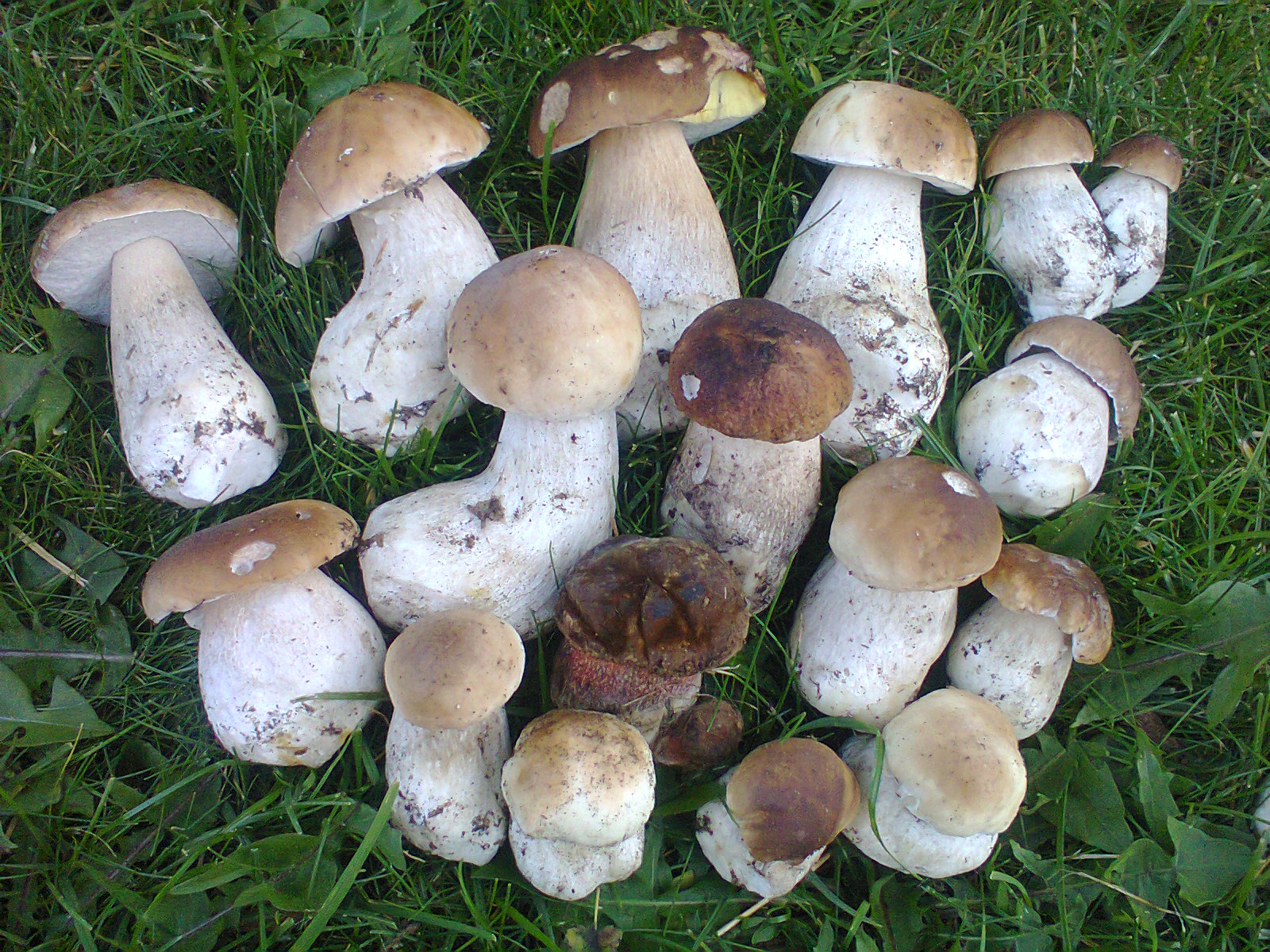 Foto 2
