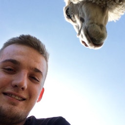 Foto 1