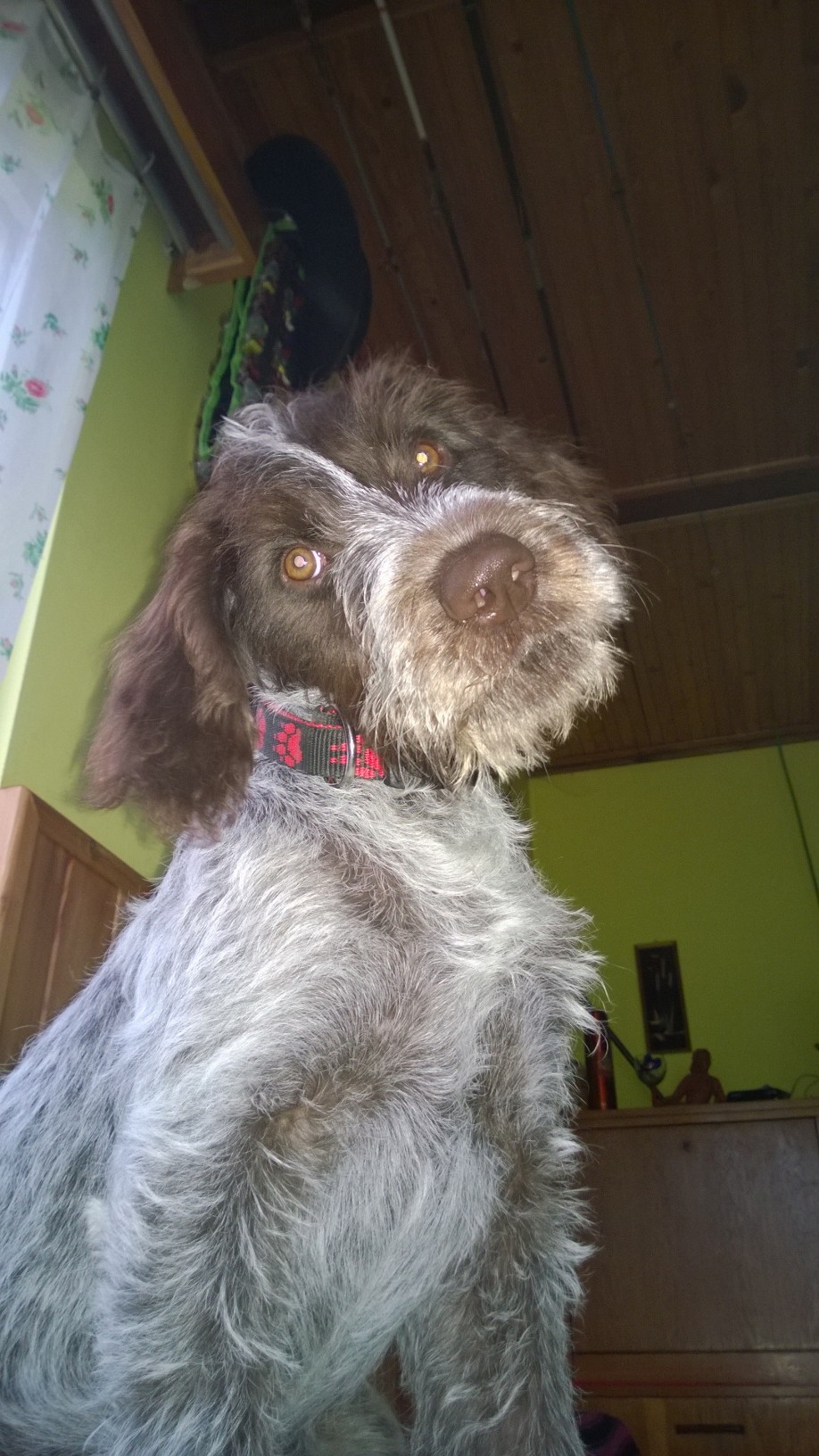 Foto 2