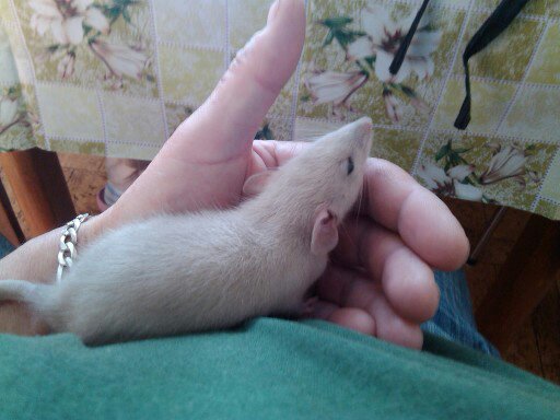 Foto 8