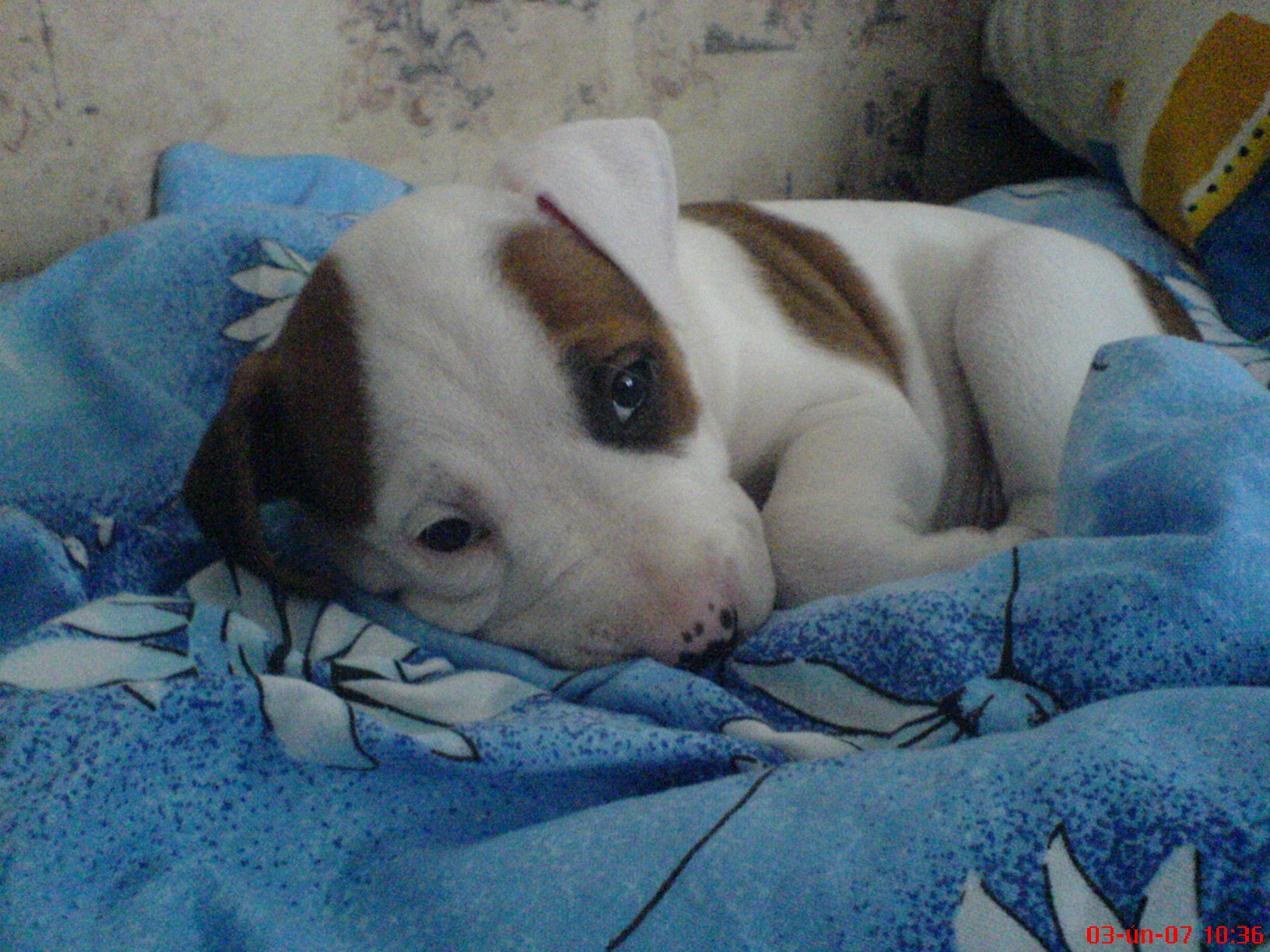 Foto 8