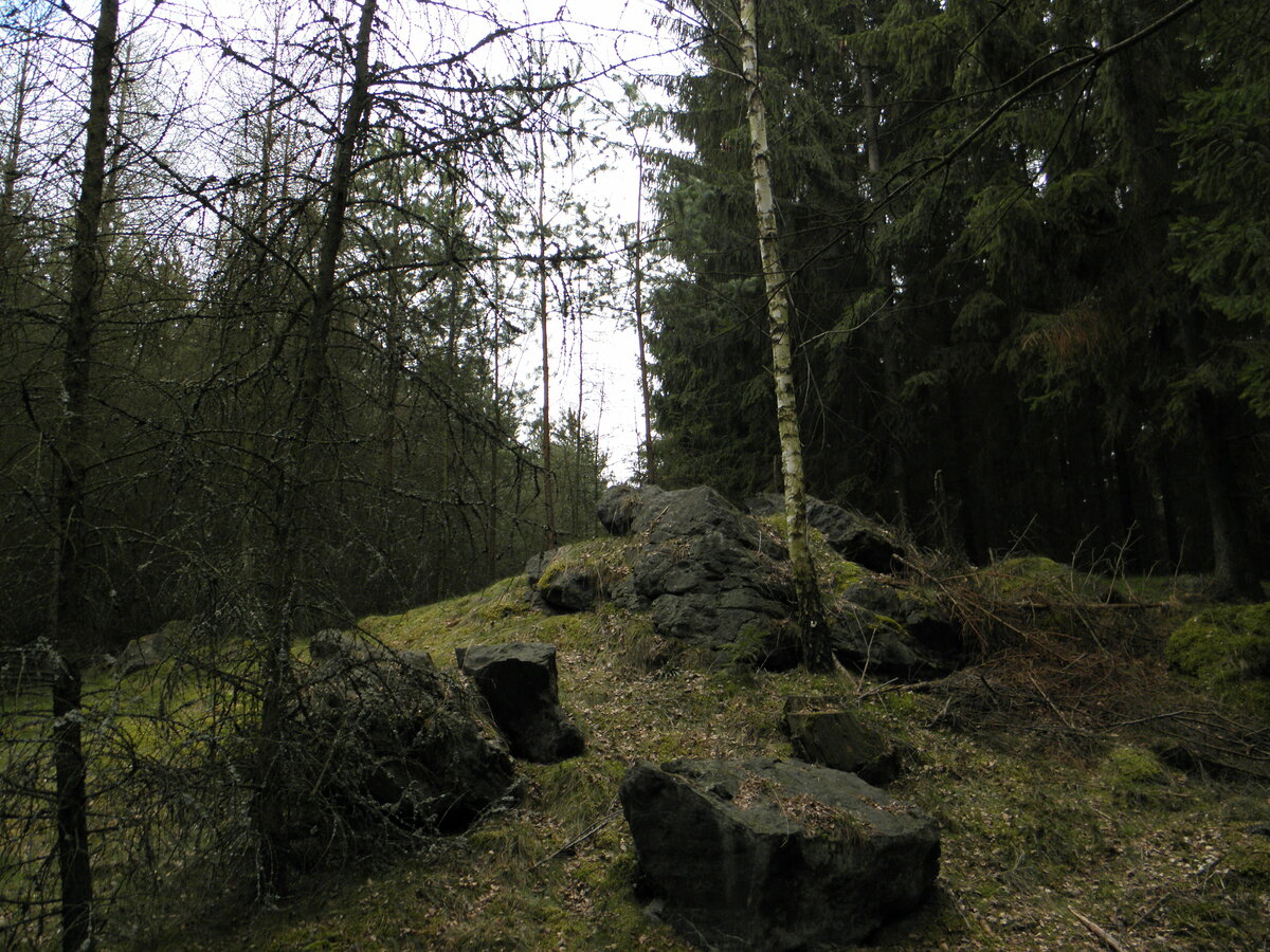 Foto 16