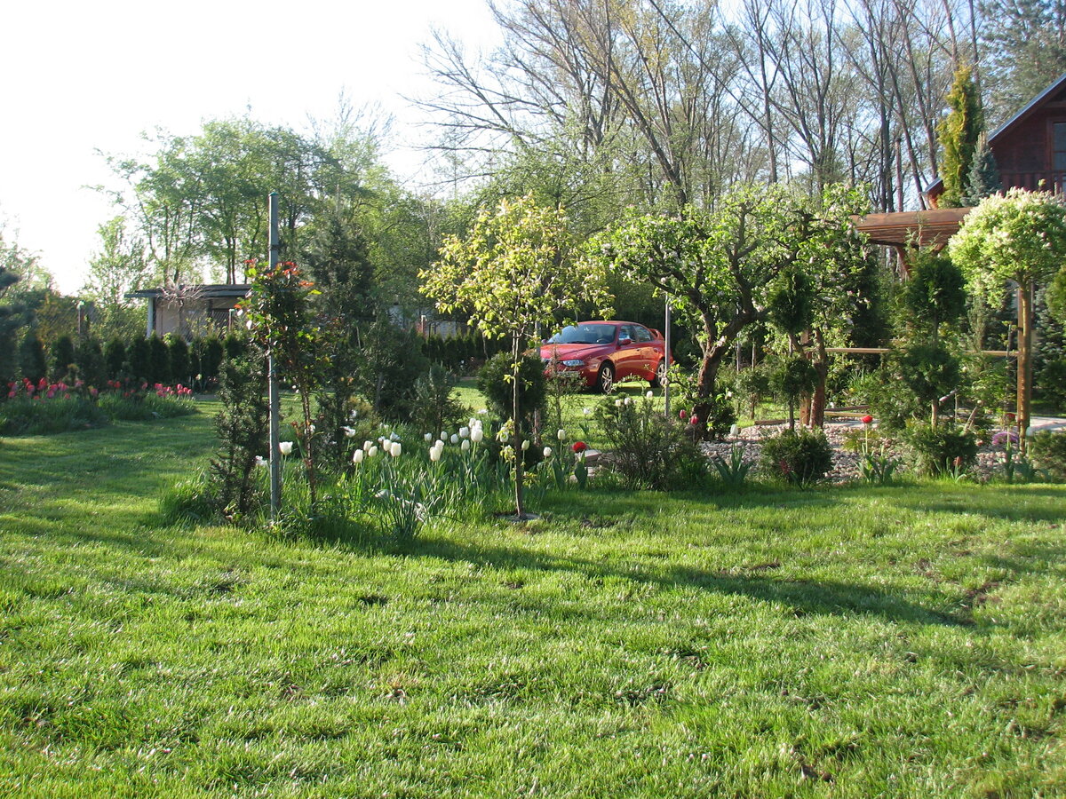 Foto 12