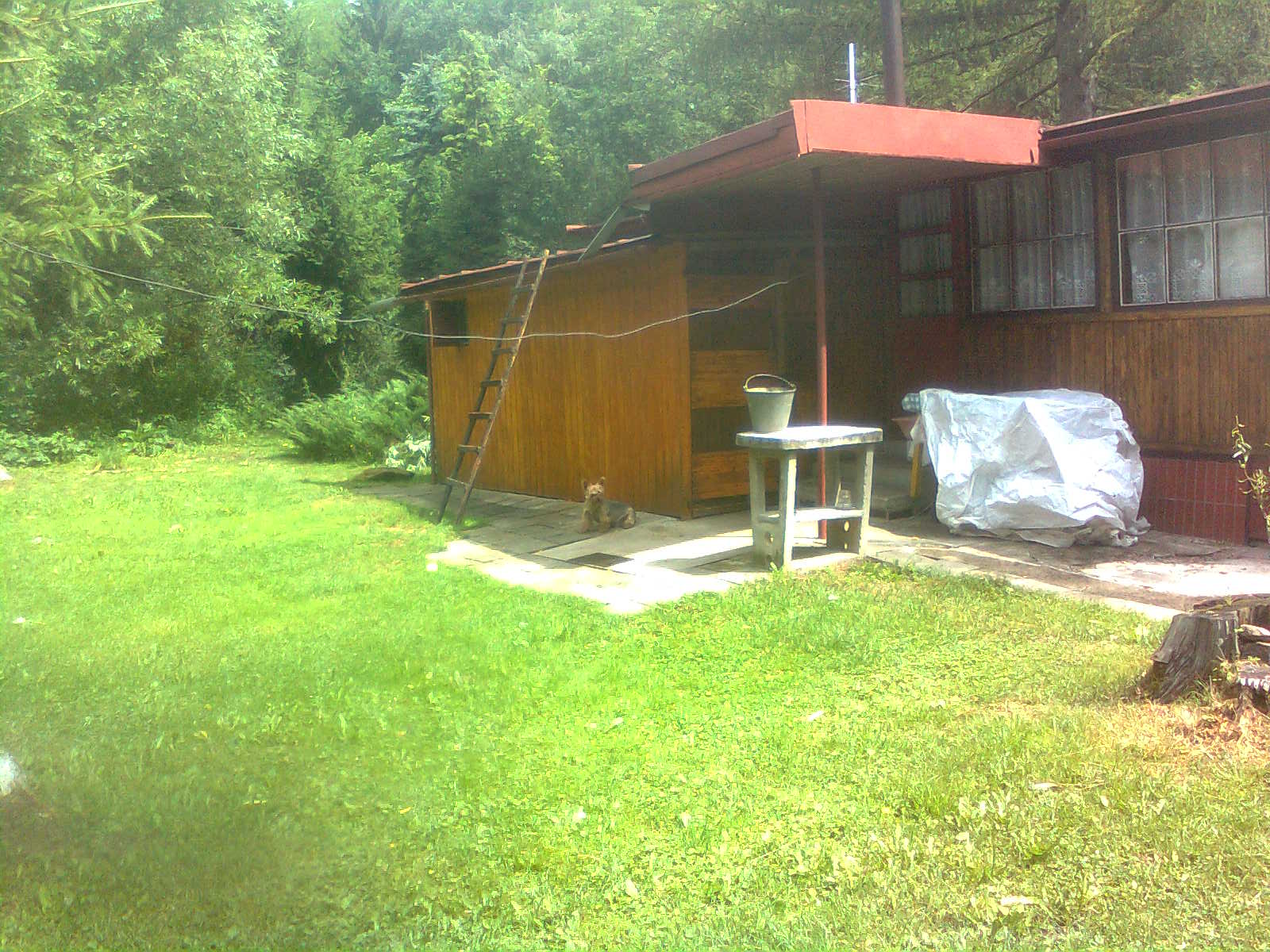 Foto 11