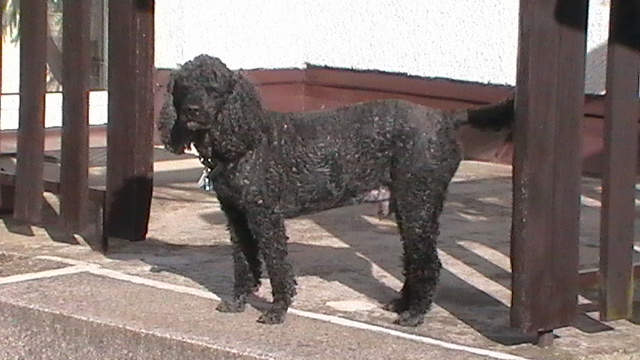 Foto 1
