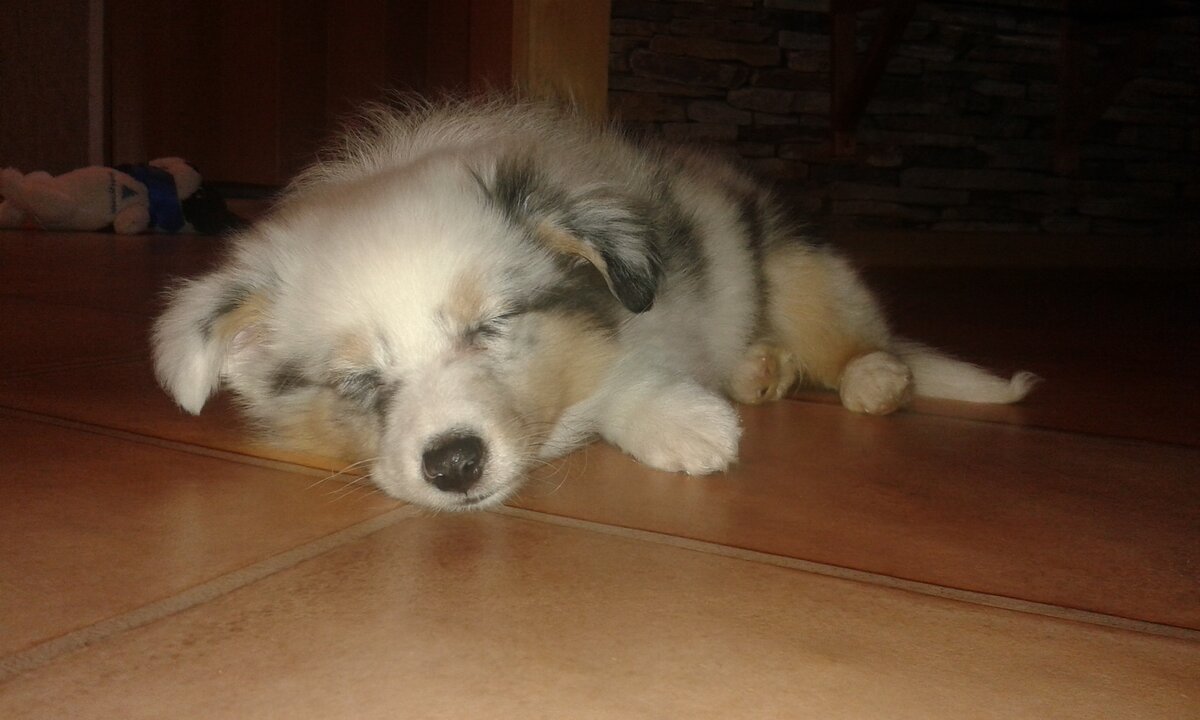 Foto 11