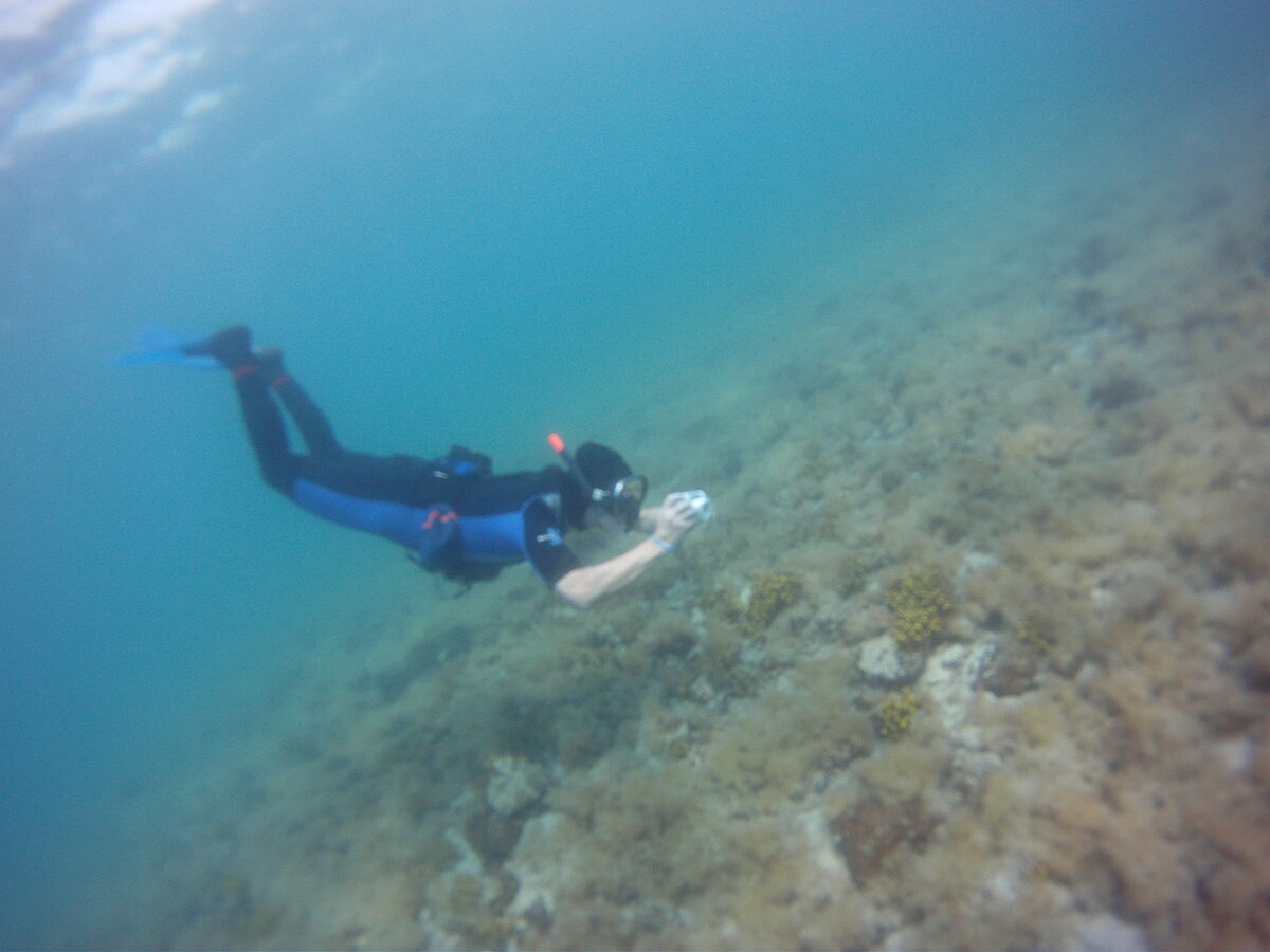 Foto 5
