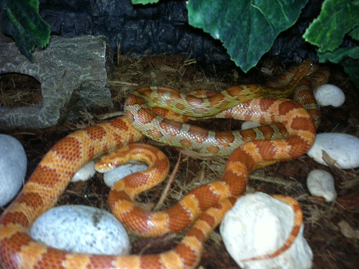 Foto 6