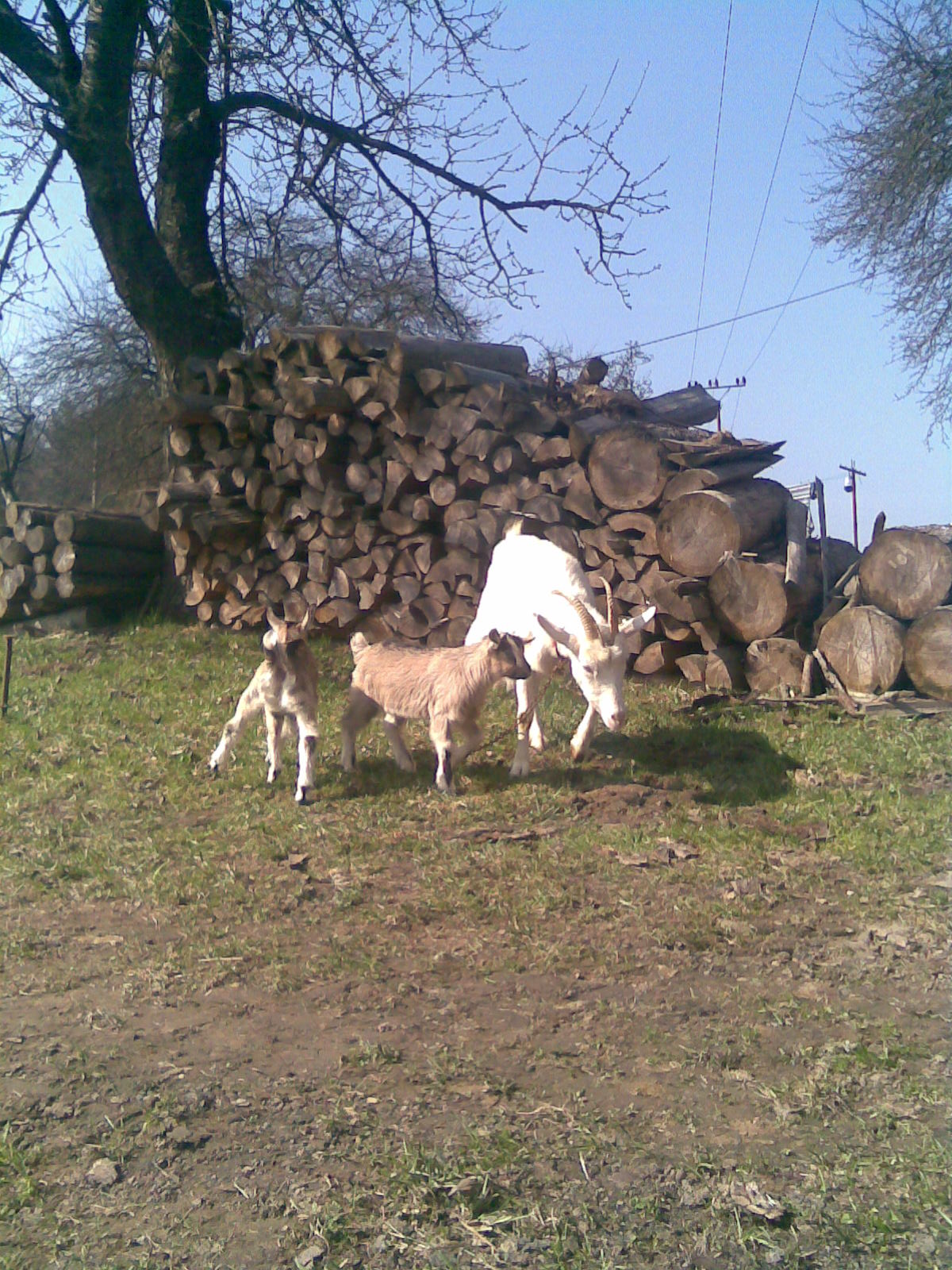 Foto 2