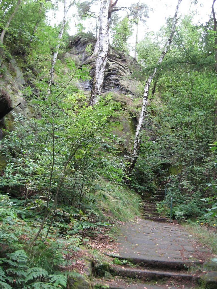 Foto 10