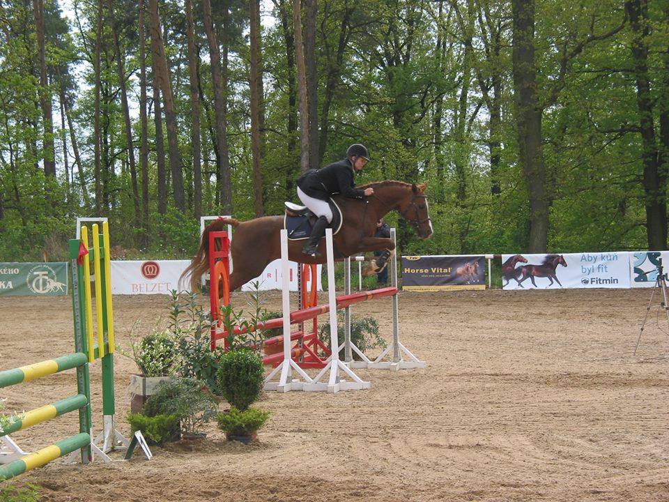 Foto 2