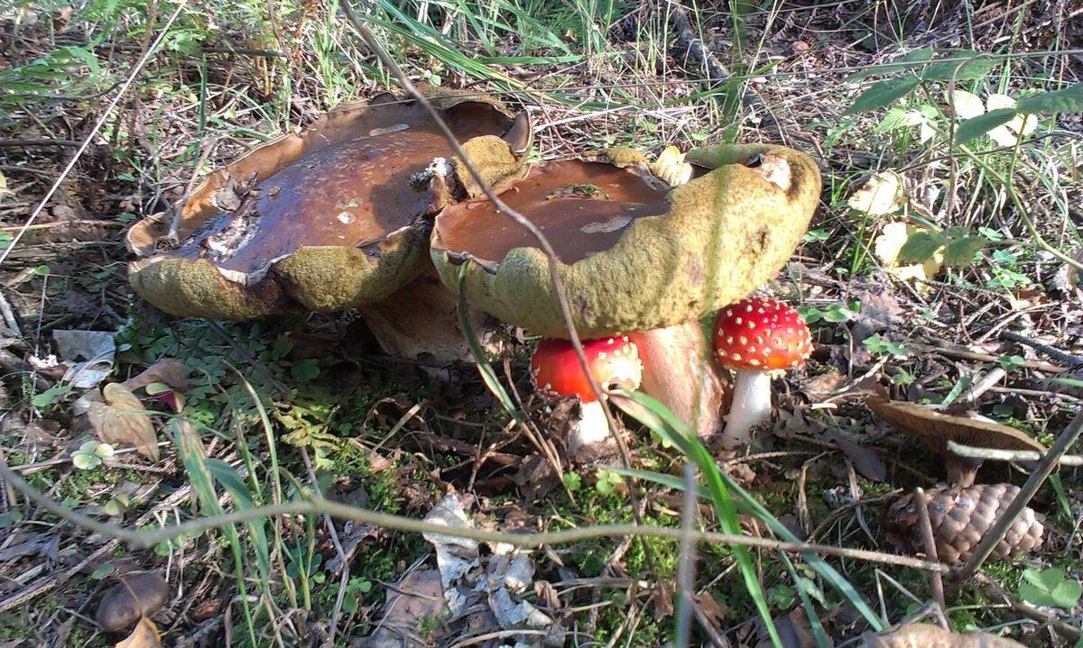 Foto 1