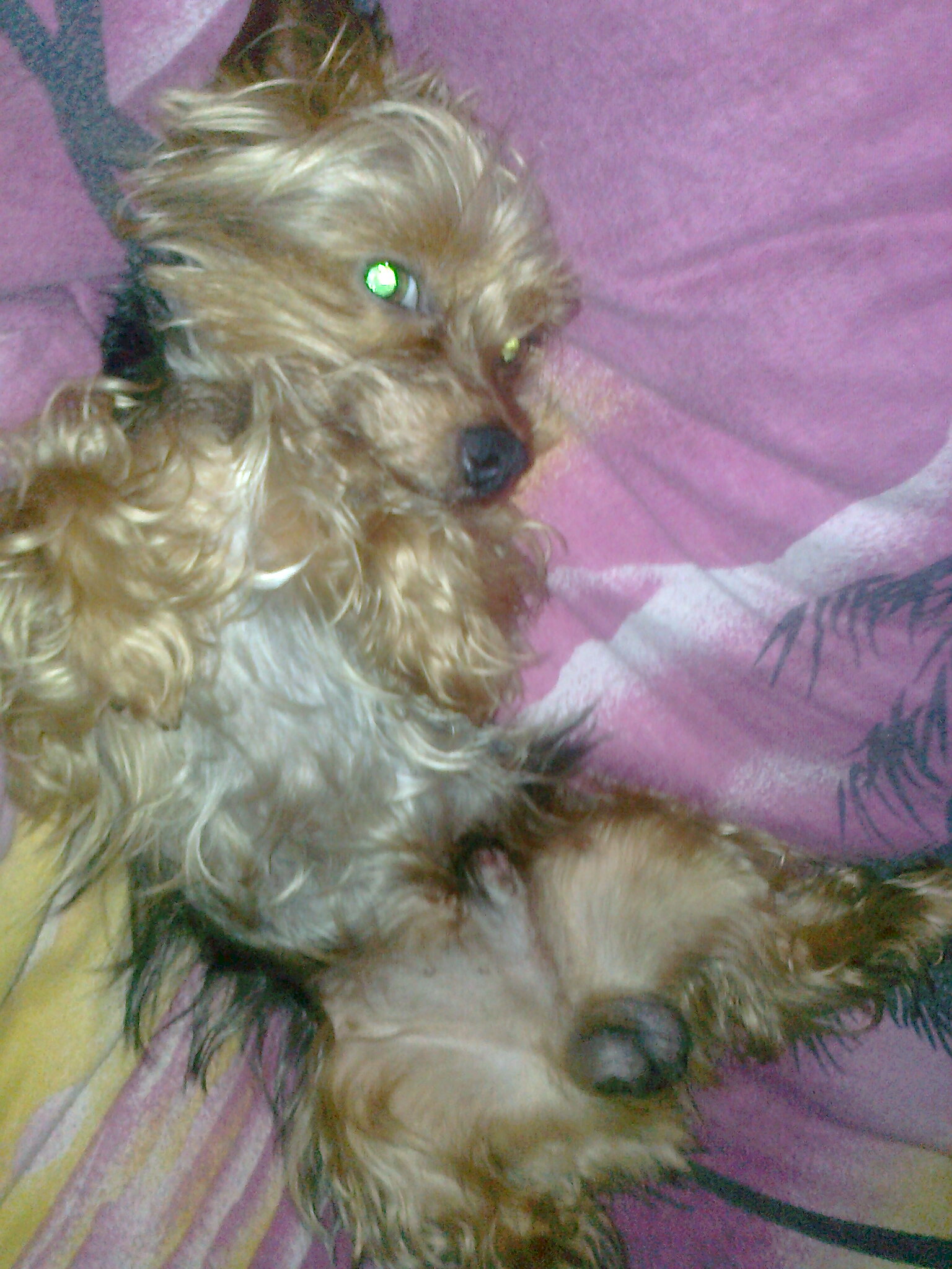 Foto 3